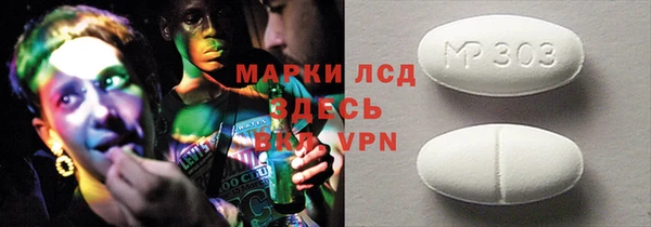 мдпв Бородино
