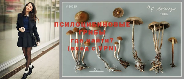 МДПВ Бугульма
