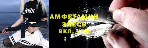мдпв Бородино