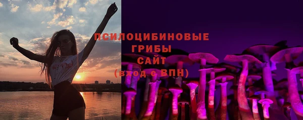 мдпв Бородино