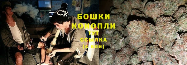 мдпв Бородино