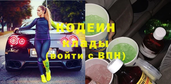 мдпв Бородино