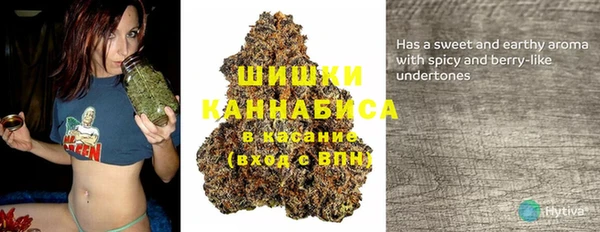МДПВ Бугульма