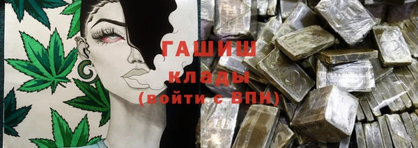 мдпв Бородино