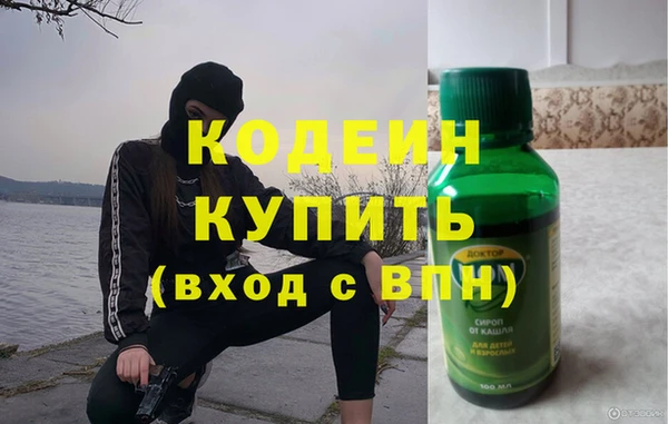 мдпв Бородино