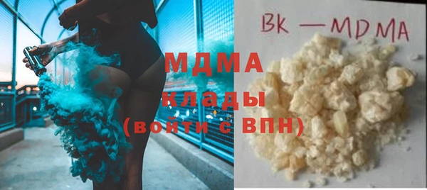 мдпв Бородино