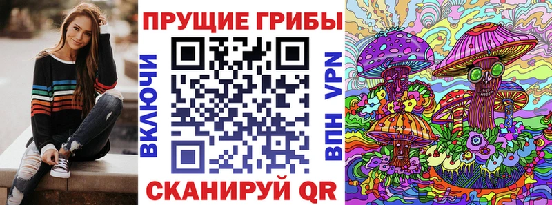 Псилоцибиновые грибы мухоморы  Купить закладки  Новоржев 